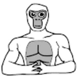 Meet your Posher, Nate